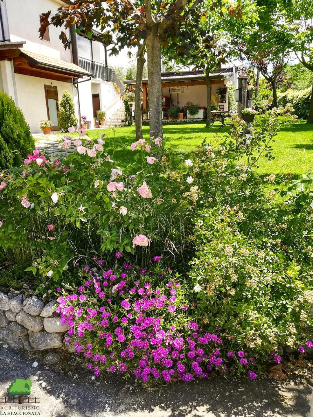 Villa La Staccionata Arpino Esterno foto